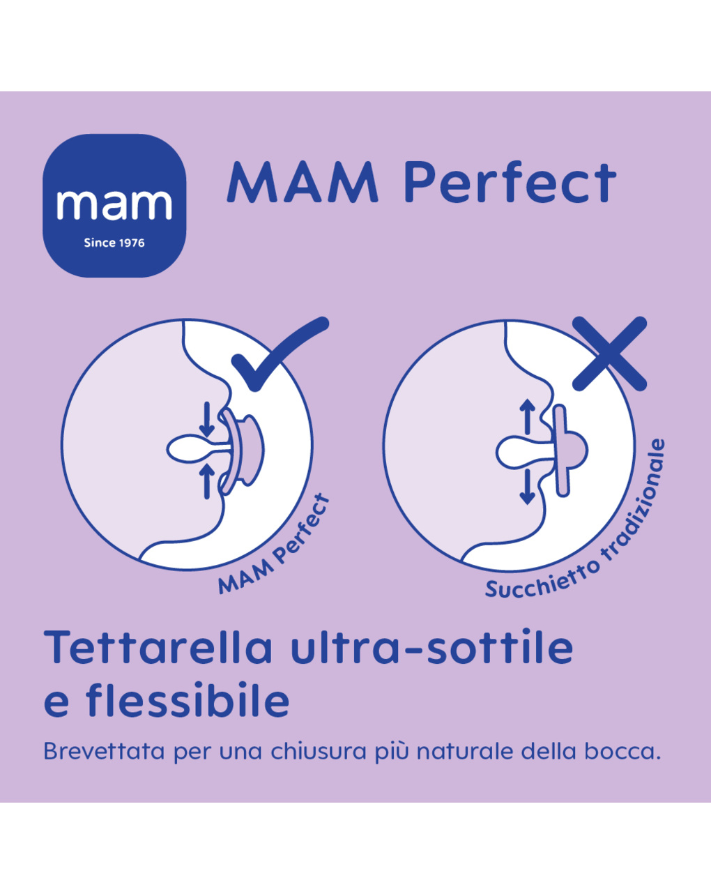 Combi pack succhietto perfect 6+ mesi + clip it! colori assortiti - mam